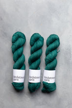 Load image into Gallery viewer, Pine- 4ply - Hand-dyed yarn
