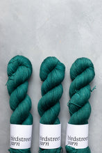 Load image into Gallery viewer, Pine- 4ply - Hand-dyed yarn
