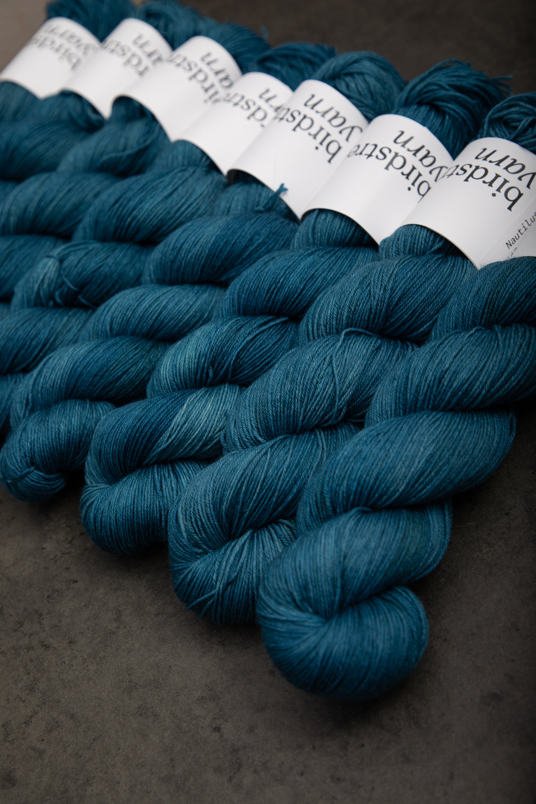 Nautilus - 4ply - Hand-dyed yarn