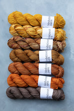 Load image into Gallery viewer, Pecan- DK - Hand-dyed Yarn
