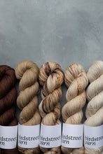 Load image into Gallery viewer, Mista Barista - 4ply hand dyed yarn
