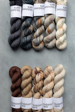 Load image into Gallery viewer, Just Rust - 4ply - Hand-dyed yarn
