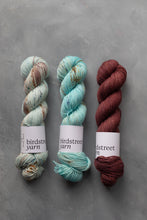 Load image into Gallery viewer, Medici - DK - Hand-dyed yarn
