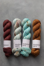 Load image into Gallery viewer, Medici - DK - Hand-dyed yarn
