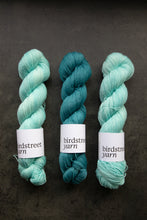 Load image into Gallery viewer, Golightly - 4ply - Hand-dyed yarn
