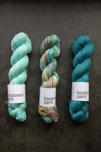 Load image into Gallery viewer, Golightly - 4ply - Hand-dyed yarn
