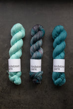 Load image into Gallery viewer, Golightly - 4ply - Hand-dyed yarn
