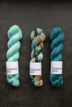 Load image into Gallery viewer, Golightly - 4ply - Hand-dyed yarn
