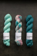 Load image into Gallery viewer, Golightly - 4ply - Hand-dyed yarn
