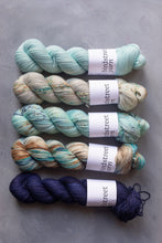Load image into Gallery viewer, Boathouse - 4ply - Hand-dyed yarn
