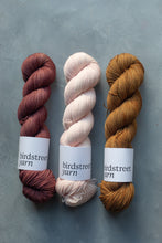 Load image into Gallery viewer, Medici - 4ply - Hand-dyed yarn
