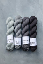 Load image into Gallery viewer, Shale- 4ply - Hand-dyed yarn
