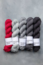 Load image into Gallery viewer, Shale- 4ply - Hand-dyed yarn
