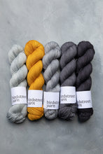Load image into Gallery viewer, Shale- 4ply - Hand-dyed yarn
