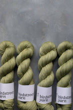 Load image into Gallery viewer, Moss- 4ply - Hand-dyed yarn
