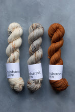 Load image into Gallery viewer, Just Rust- DK - Hand-dyed yarn
