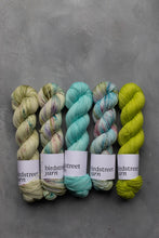 Load image into Gallery viewer, Golightly - 4ply - Hand-dyed yarn
