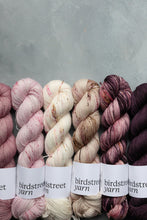 Load image into Gallery viewer, Rhapsody- 4ply - Hand-dyed yarn
