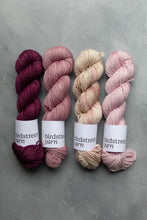 Load image into Gallery viewer, Rhapsody - DK - Hand-dyed yarn
