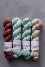 Load image into Gallery viewer, Medici - DK - Hand-dyed yarn
